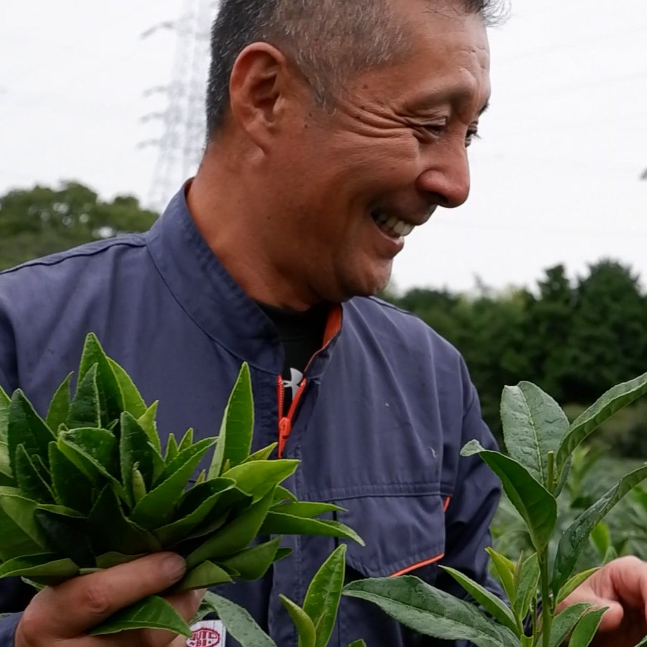 ちょっと抹茶 – Chotto Matcha